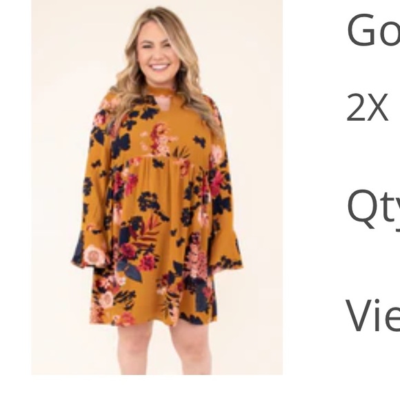 Plus size 2x-3x. Chic soul/Torrid. dresses worn a few hours. Smoke/pet free home - Picture 3 of 8